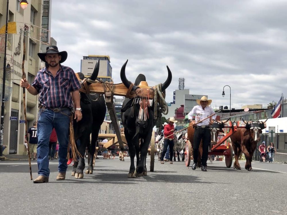 2019 National Oxcart Parade