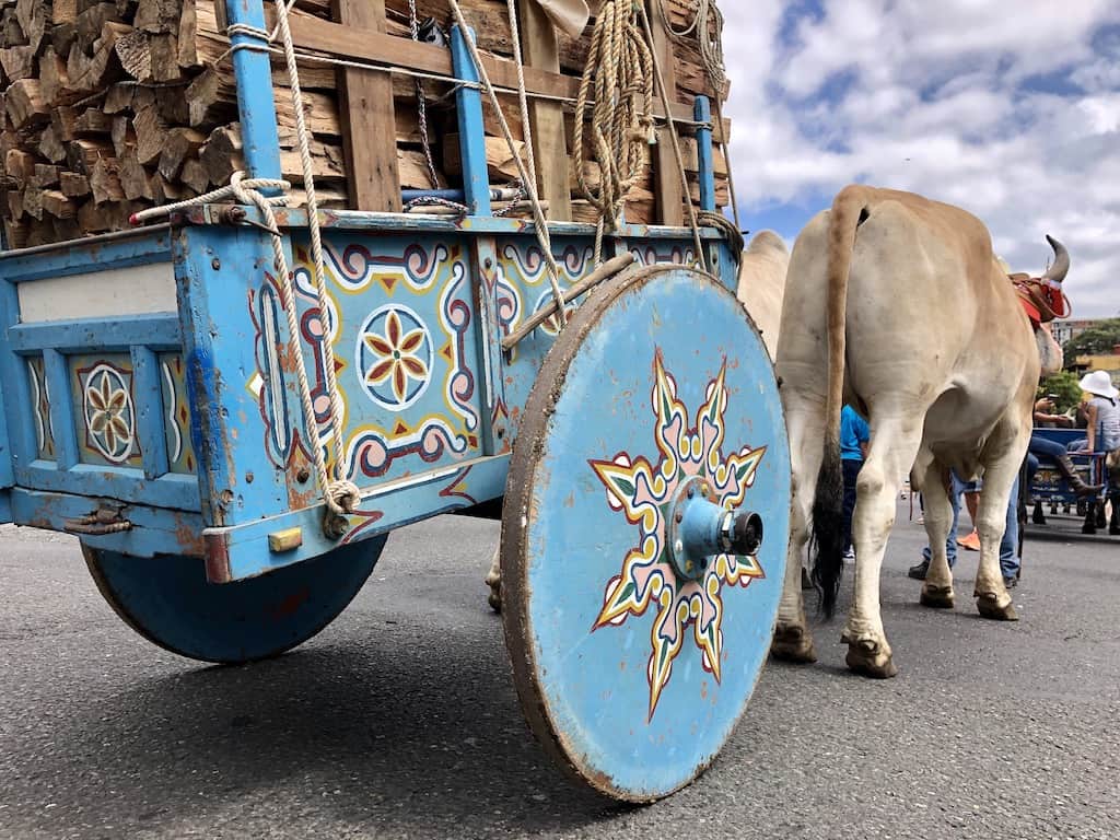 2019 National Oxcart Parade