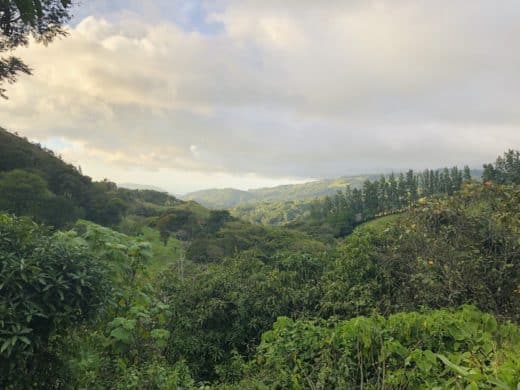 Pic of the Day: Stunning views on the road to Monteverde