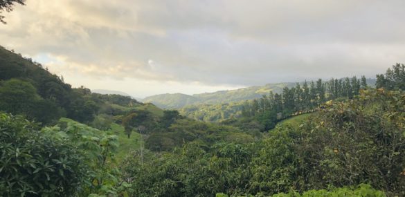 Panorama from Monteverde