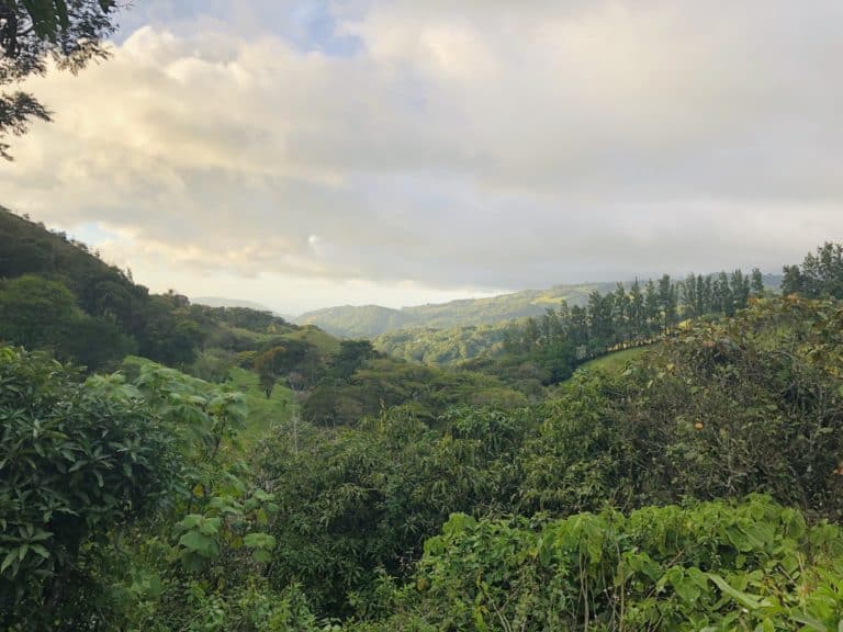 Panorama from Monteverde