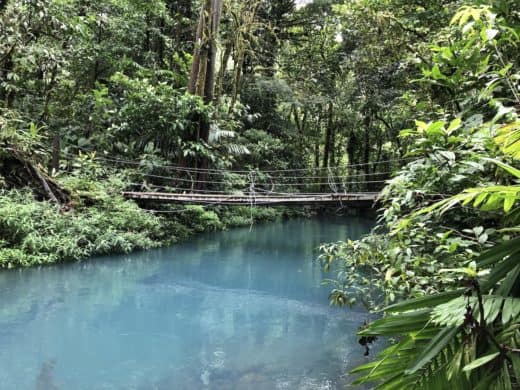 Costa Rica reopens 15 more protected wildlife areas
