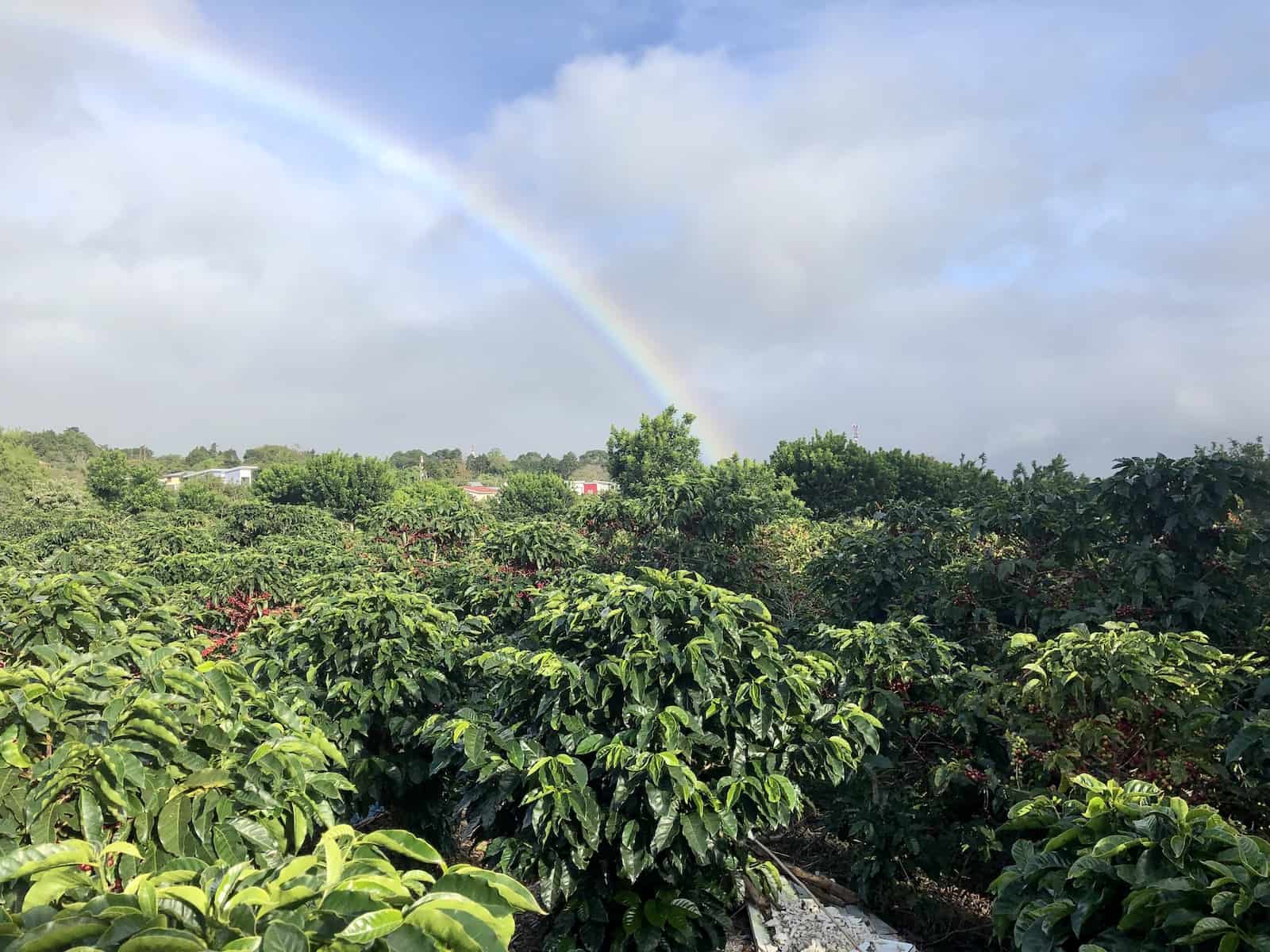 Rainbow over a coffee plantation near Heredia, Costa Rica