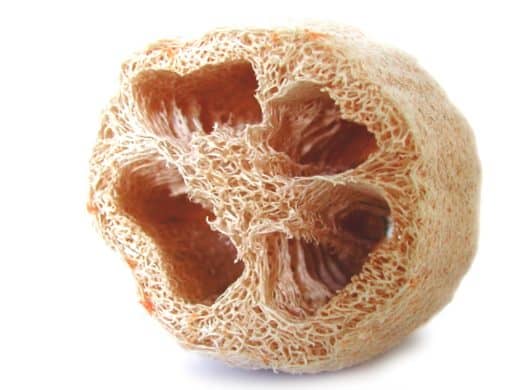 Bathing with vegetables: The Luffa gourd