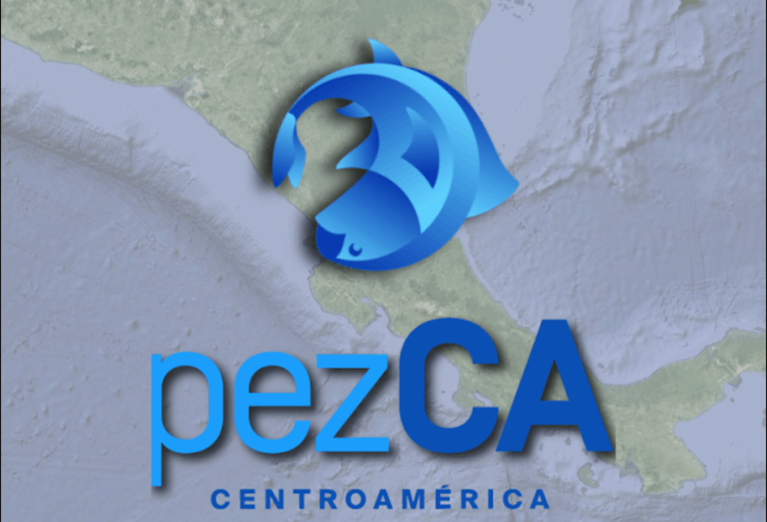PezCA mobile phone app