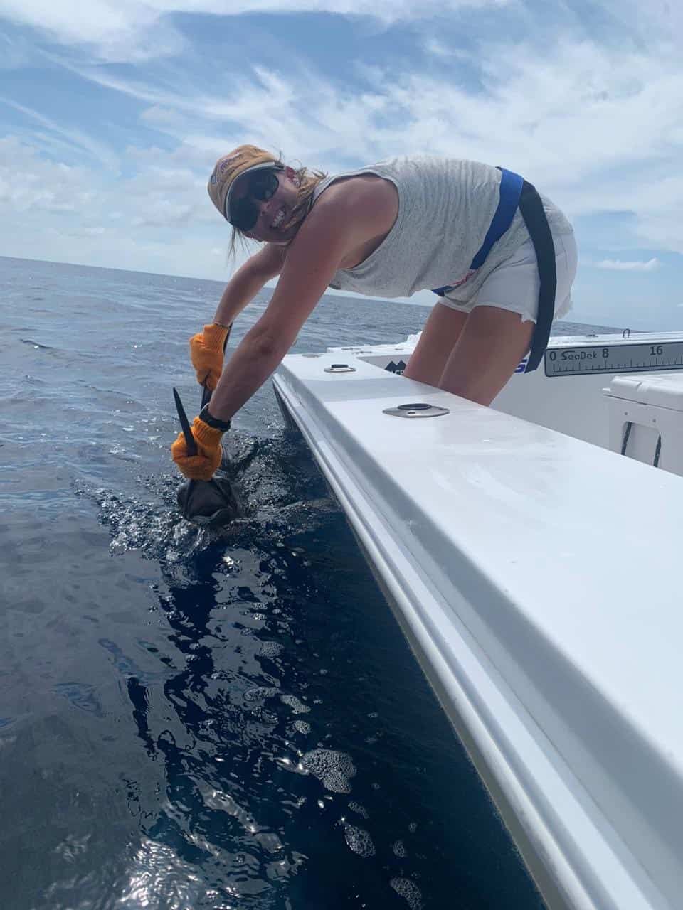 Marina Marrari releases a sailfish