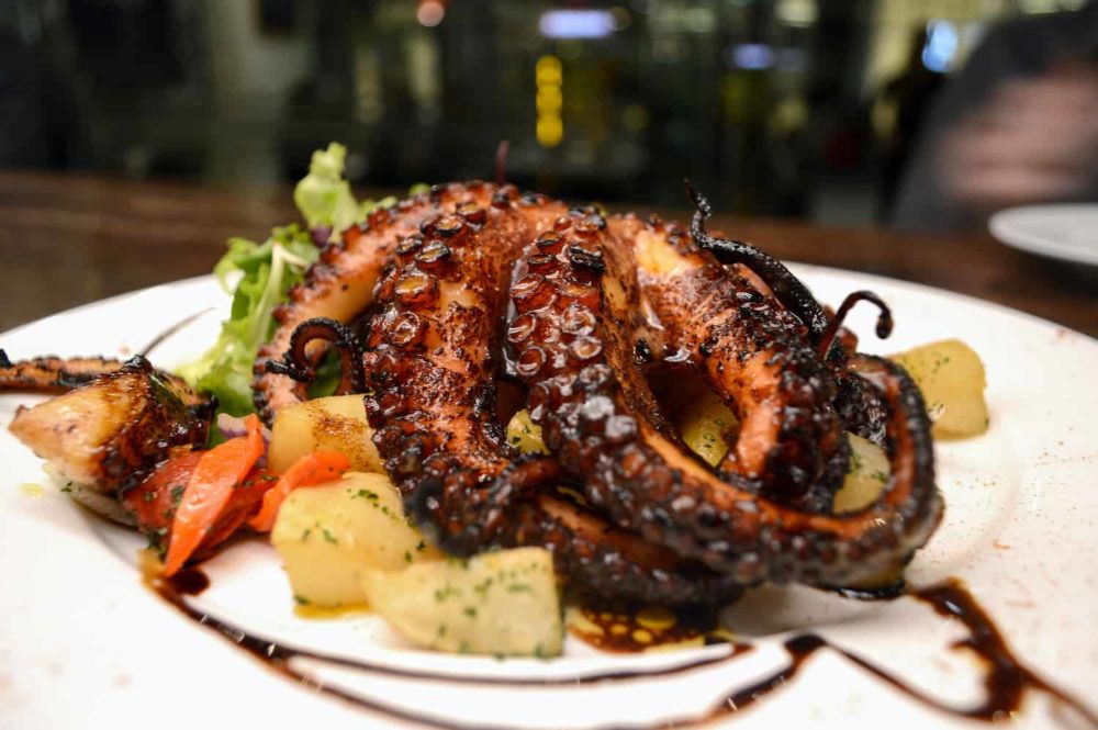 Grilled octopus