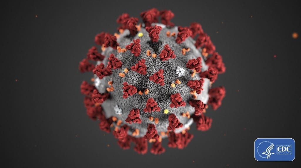 Novel coronavirus COVID-19