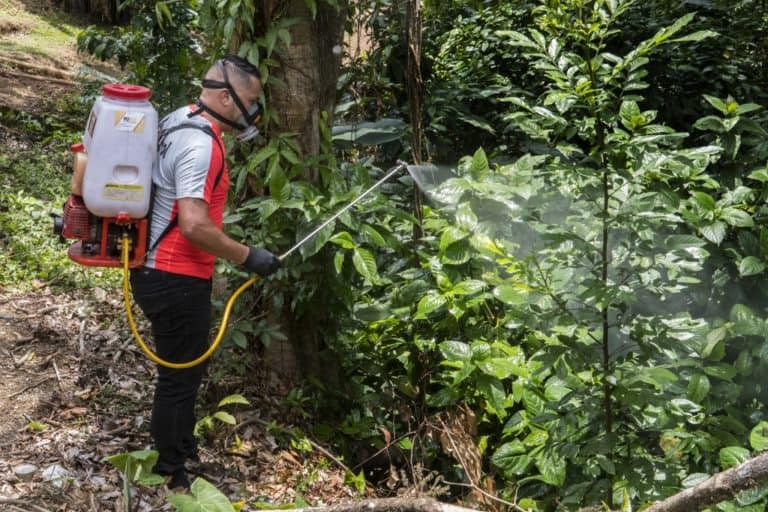 Fumigation against dengue in Costa Rica