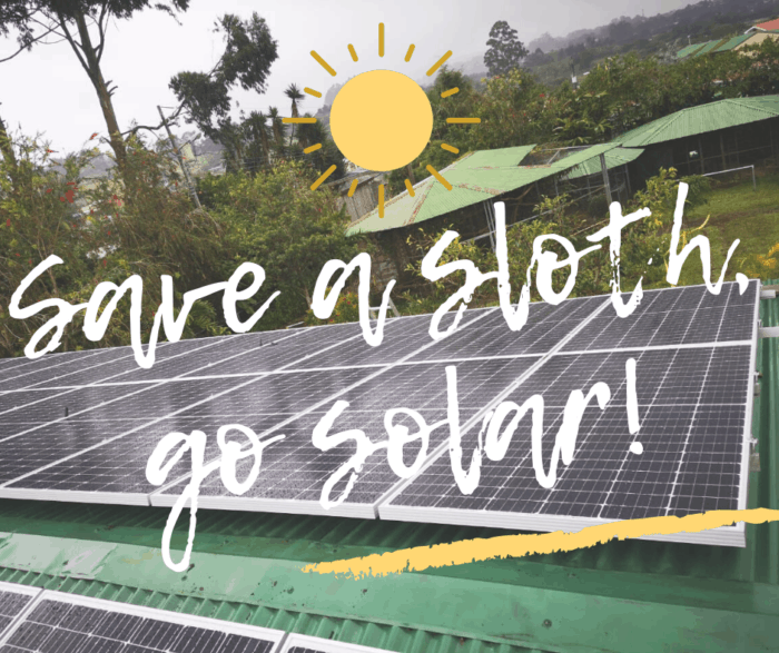 Save a sloth, go solar! 