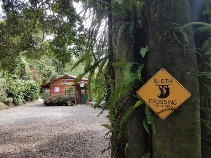 How to support Costa Rican businesses and communities during the