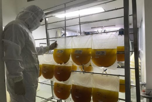 Costa Rica’s equine plasma coronavirus treatment not as effective as initially hoped