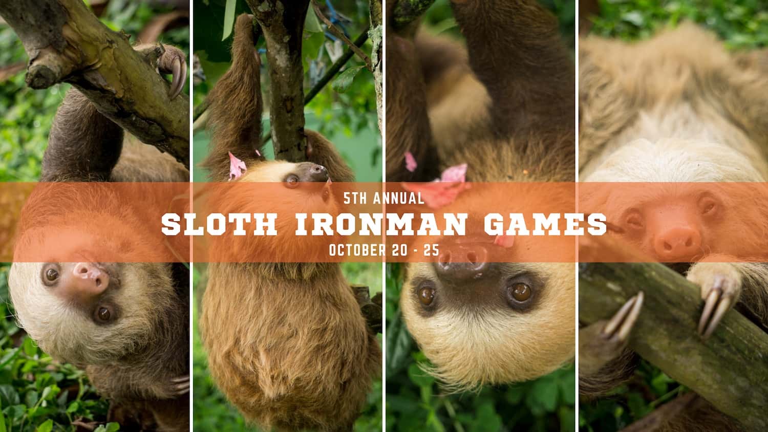 5th annual sloth ironman games poster