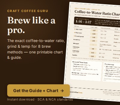Costa Rica Coffee Brew Guide