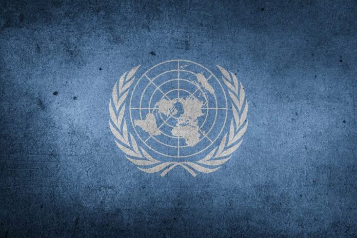 La bandera mundial de las Naciones Unidas