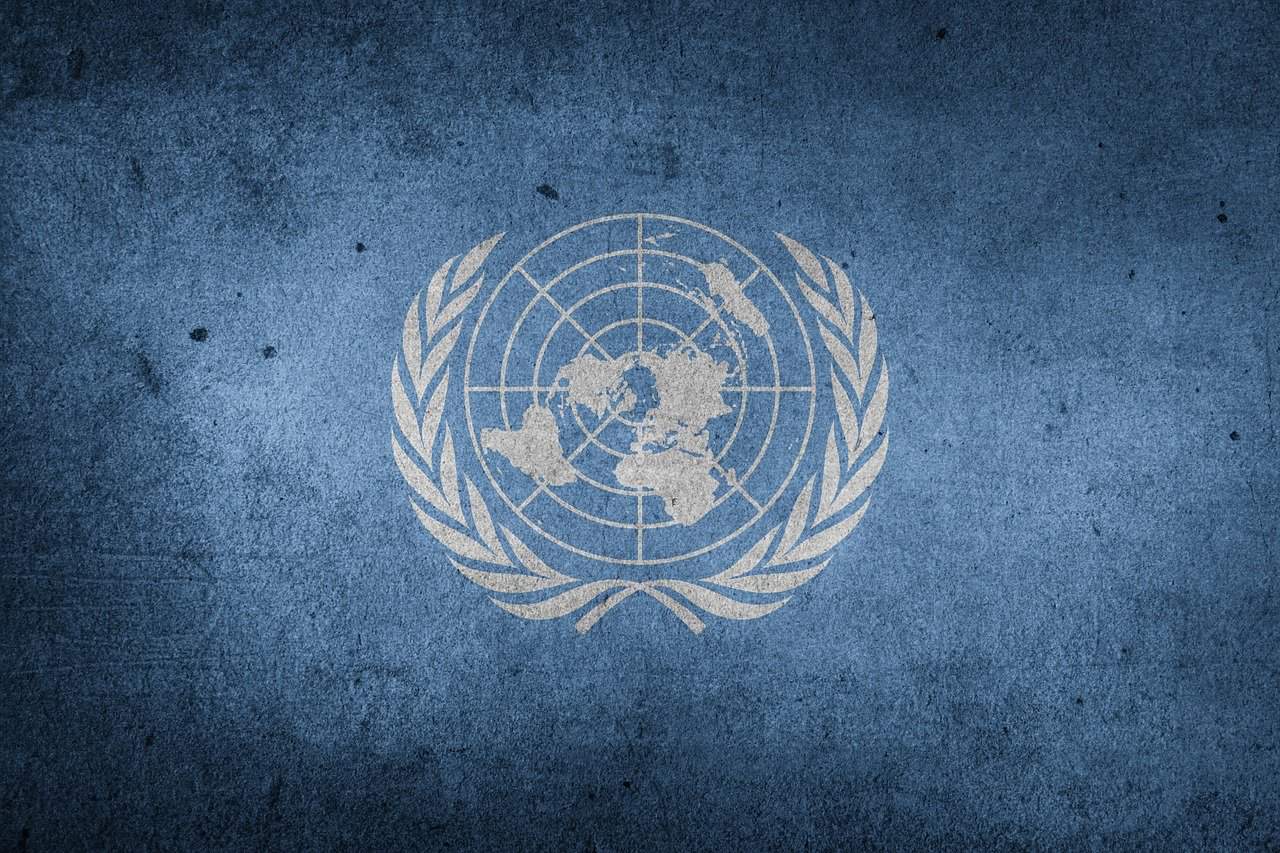 The United Nations World Flag