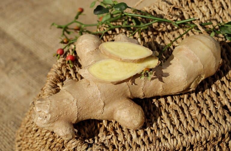In Costa Rica – Ginger Makes Meals of Appetizers