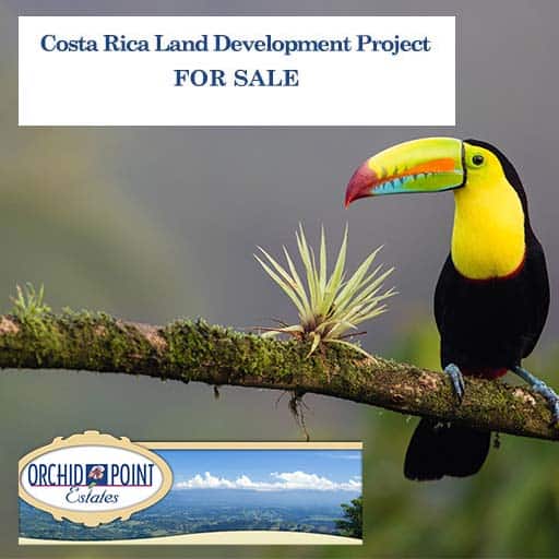 Costa Rica Real Estate Development