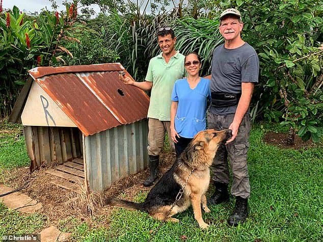 Photo of Caseta de perro en Costa Rica golpeada por meteorito en venta: