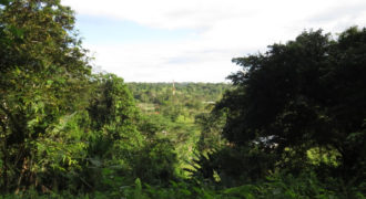 35 Acre Rain Forest, $98,000.00 negotiable Motivated Seller- Caribbean