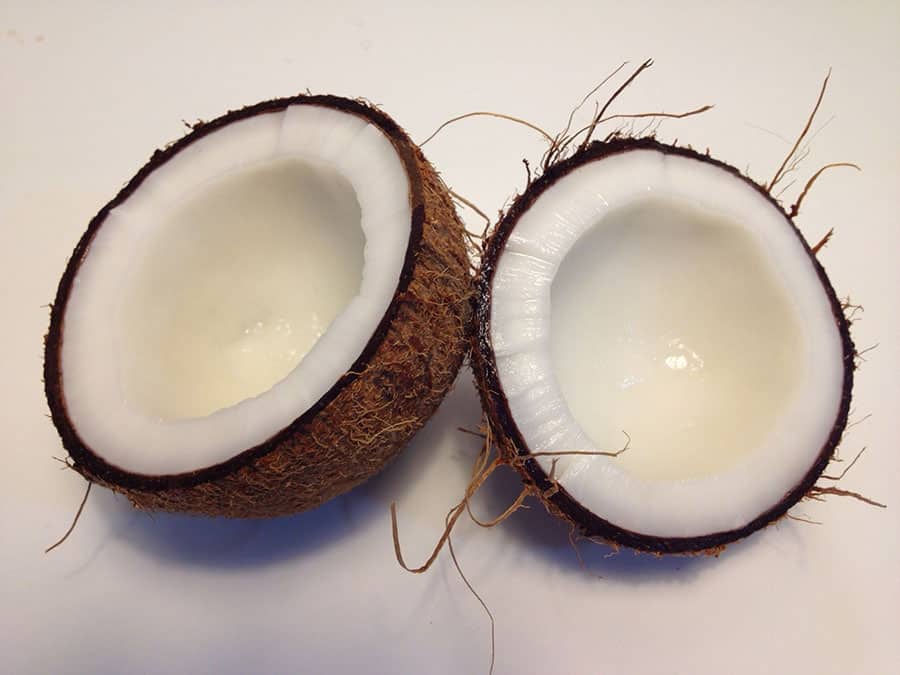 Coconut fruit of costa rica