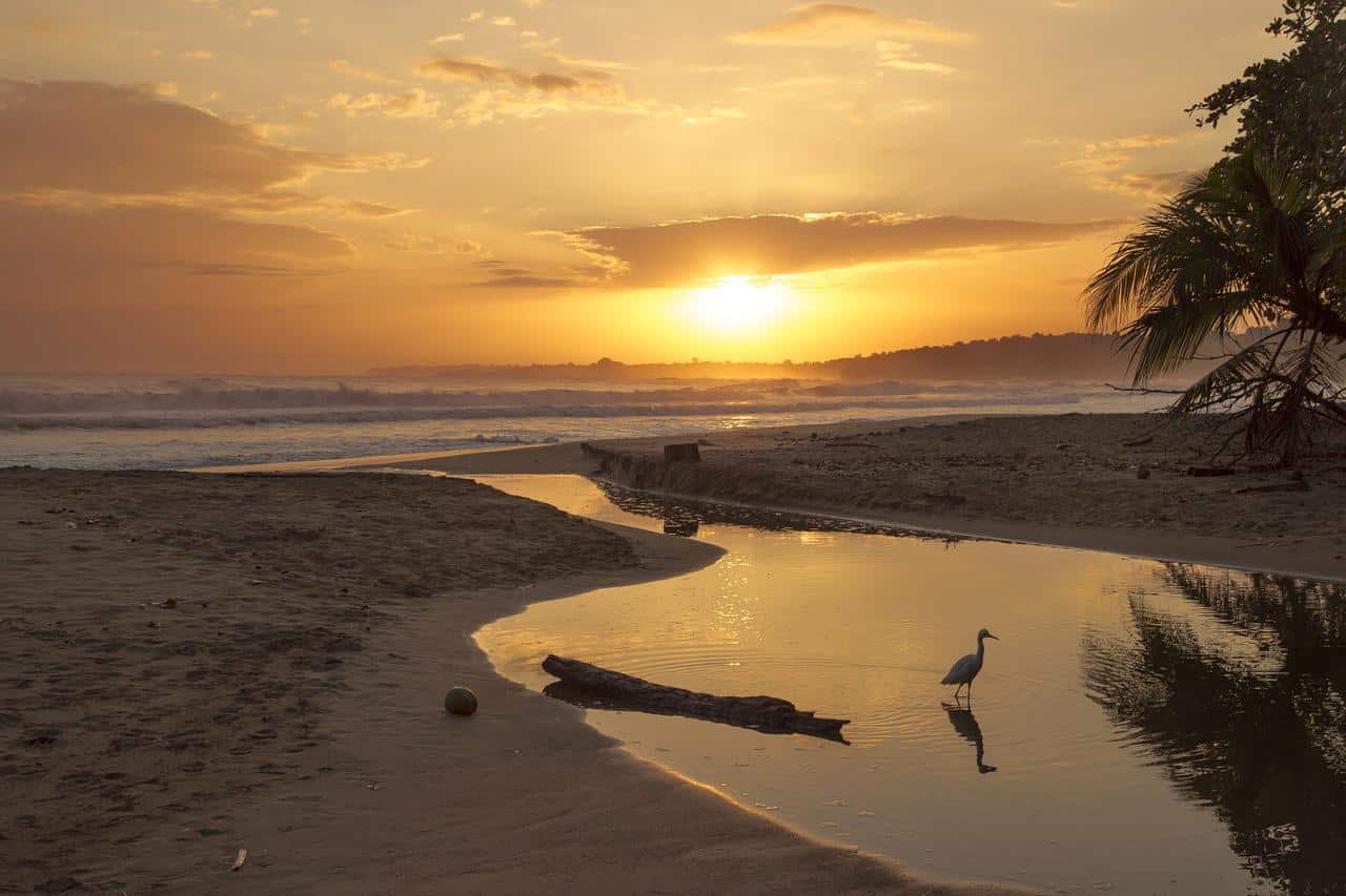 6 razones por las que amo a Costa Rica como expatriado: