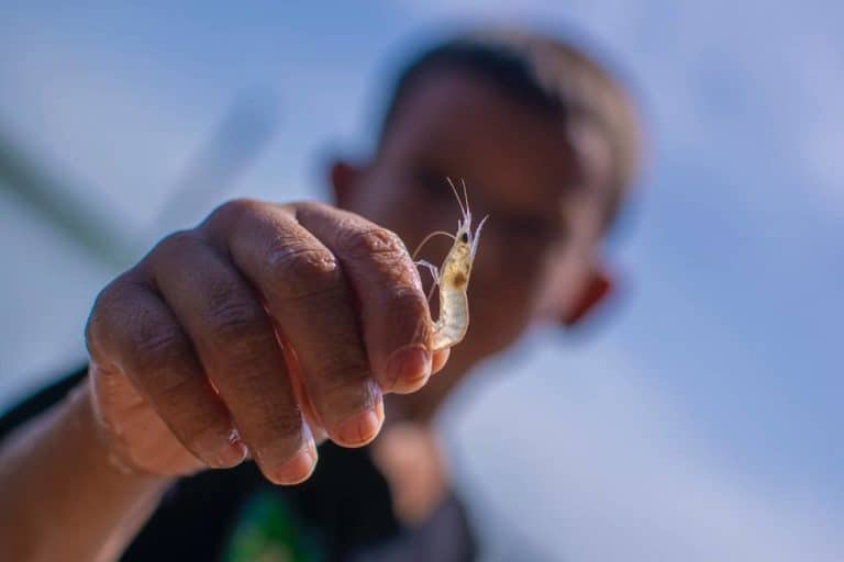 Why Costa Rica is Banning Fishing in the Gulf of Nicoya for May–July