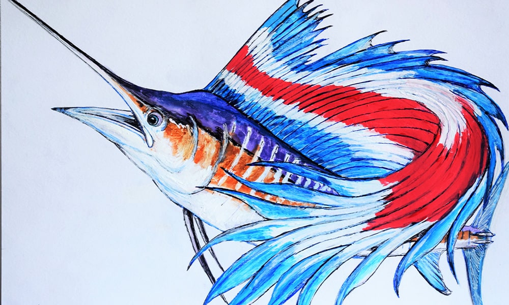 Costa Rica Takes a Step Forward in Protecting Sailfish - Vimarsana News