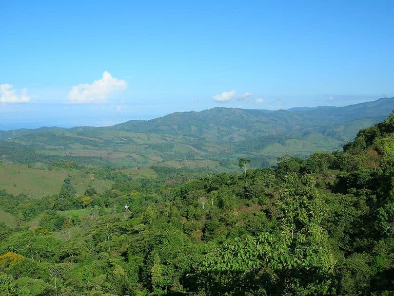 Beautiful property for Sale! Beautiful property for Sale!
