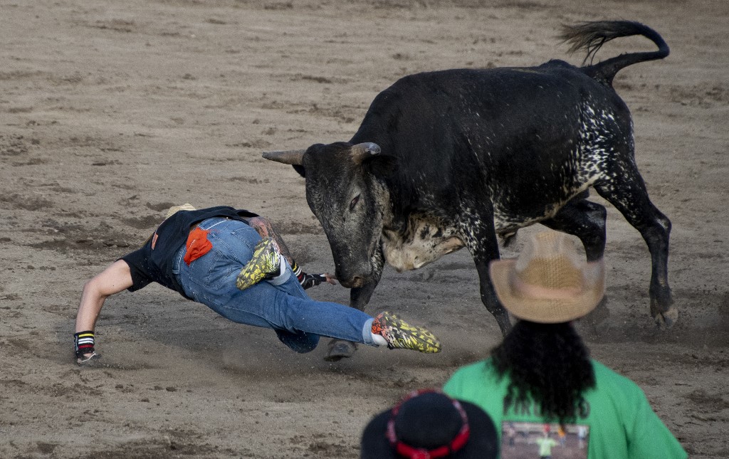 Costa Rica Bullfight