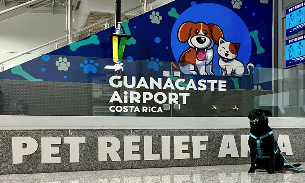 Pets at Guanacaste Airport