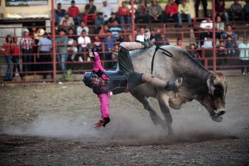 Bull Rider in NIcaragua