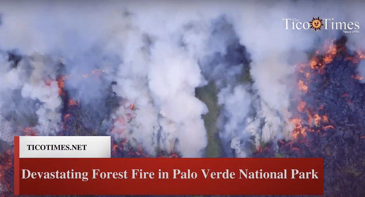 Tico Times Weekly Recap for April 29, 2023 The Tico Times Costa