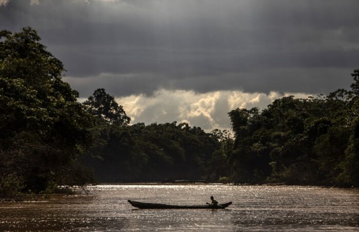 Nicaragua's Rainforests: A Film About Illegal Cattle Ranching