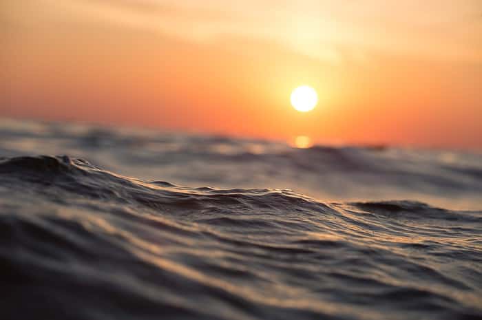 World Ocean Day Costa Rica