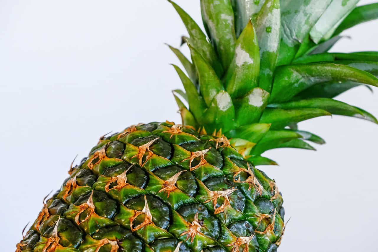 Costa Rica Pineapple