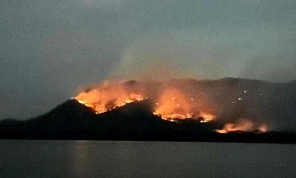 Costa Rica’s Wildfire Crisis: Chira Island Battling Uncontrolled Blaze