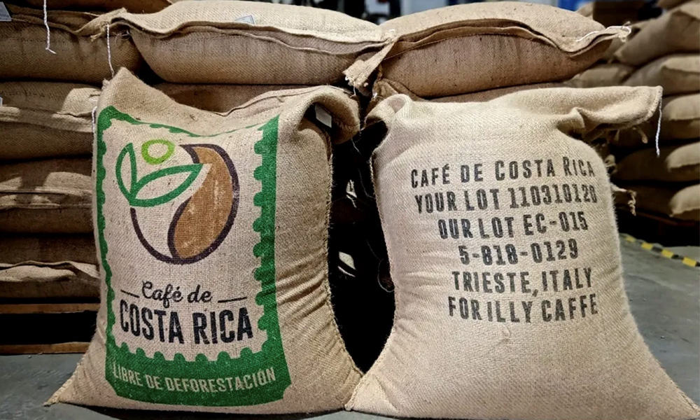 Costa Rica Deforestation Coffee