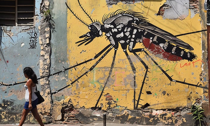 PAHO Warns of Record Dengue Cases in Latin America Amid Climate Change ...