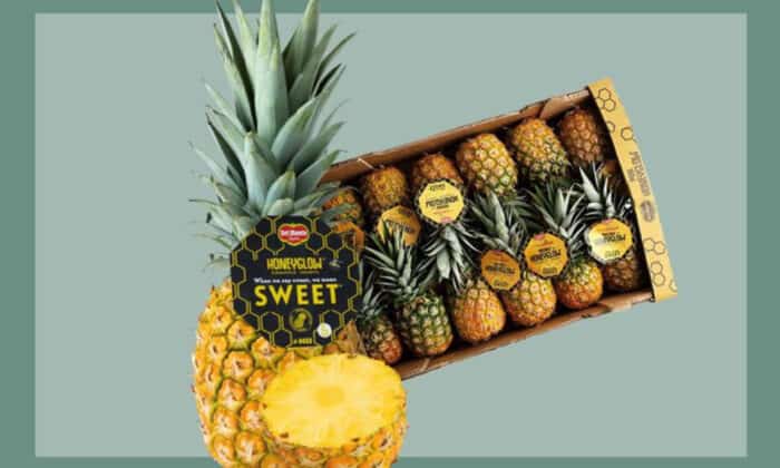 Precious Honeyglow: Costa Rica's Personal-sized Pineapple