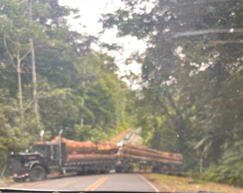 Costa Rica Illegal Logging