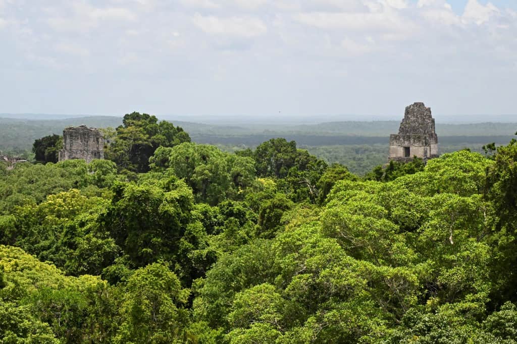 Guatemala Maya Biosphere