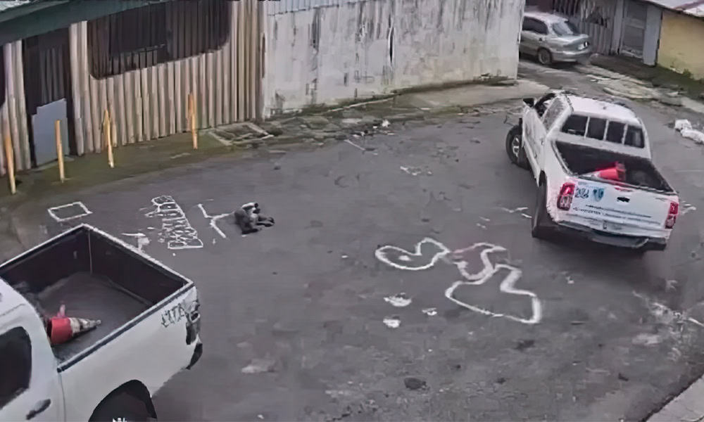 Costa Rica Police Dog Killing