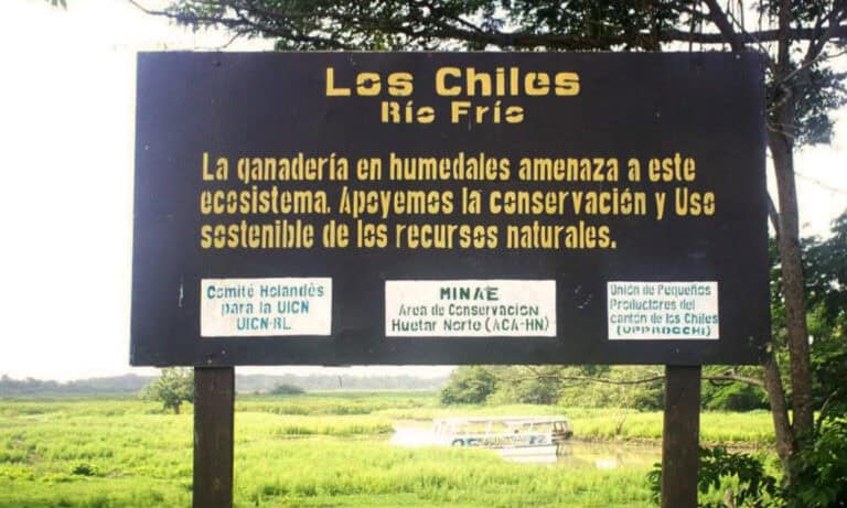 Why Costa Rica’s Northern Huetar Region Struggles Despite Its Riches