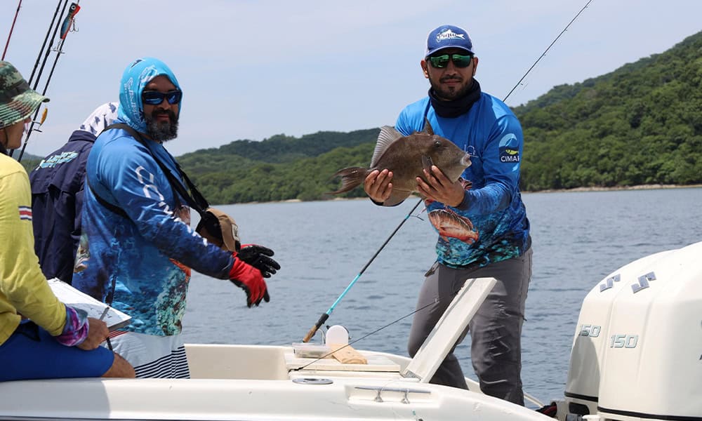 Bahia Santa Elena Costa Rica