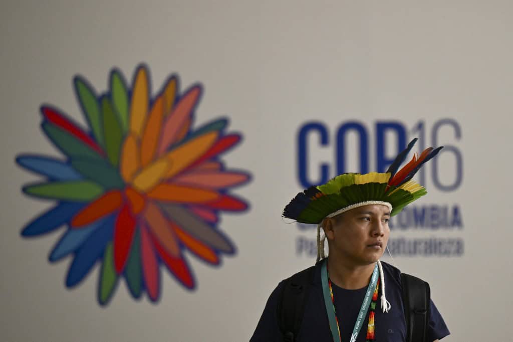 Cop16 in Colombia