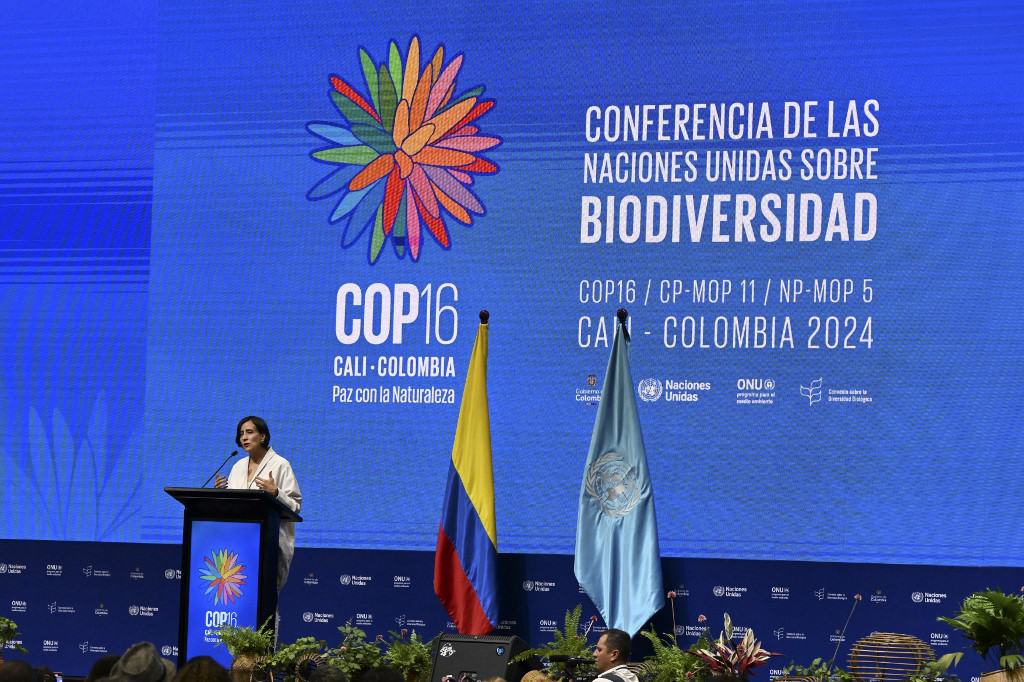 COP!6 in Colombia about Biodiversity