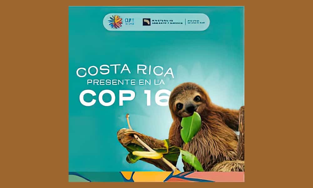 Costa Rica at COP16 Colombia