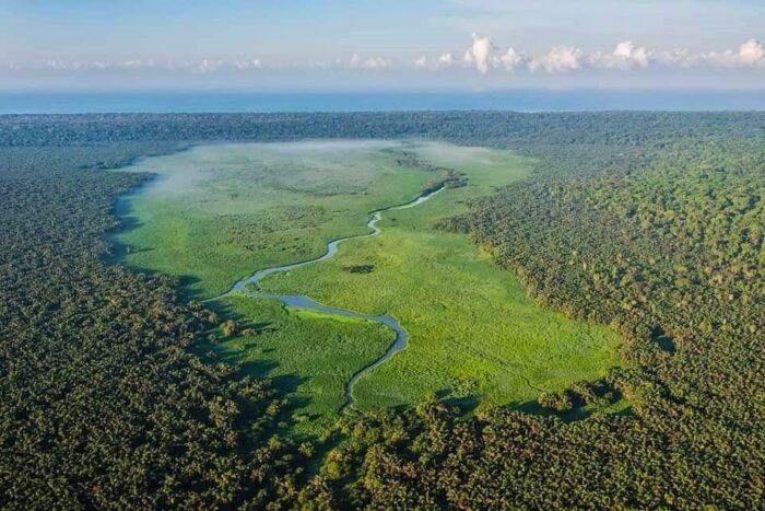 Aerial view Corcovado National Park Costa Rica