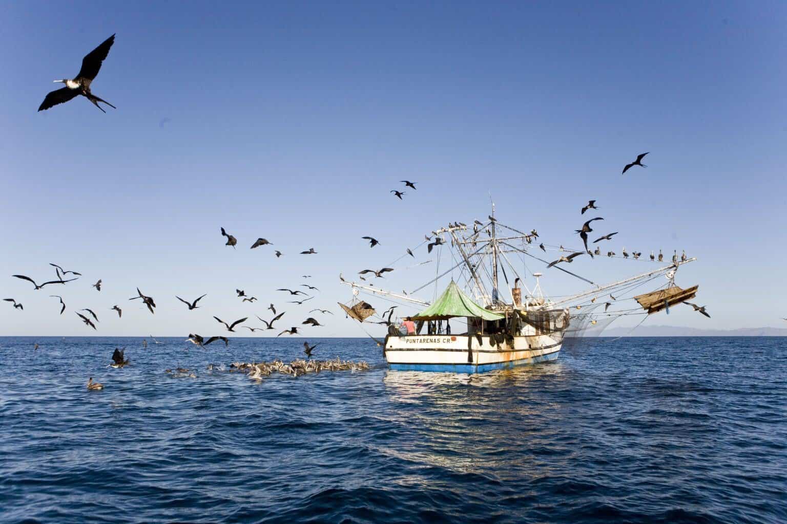 Costa Rica Trawling